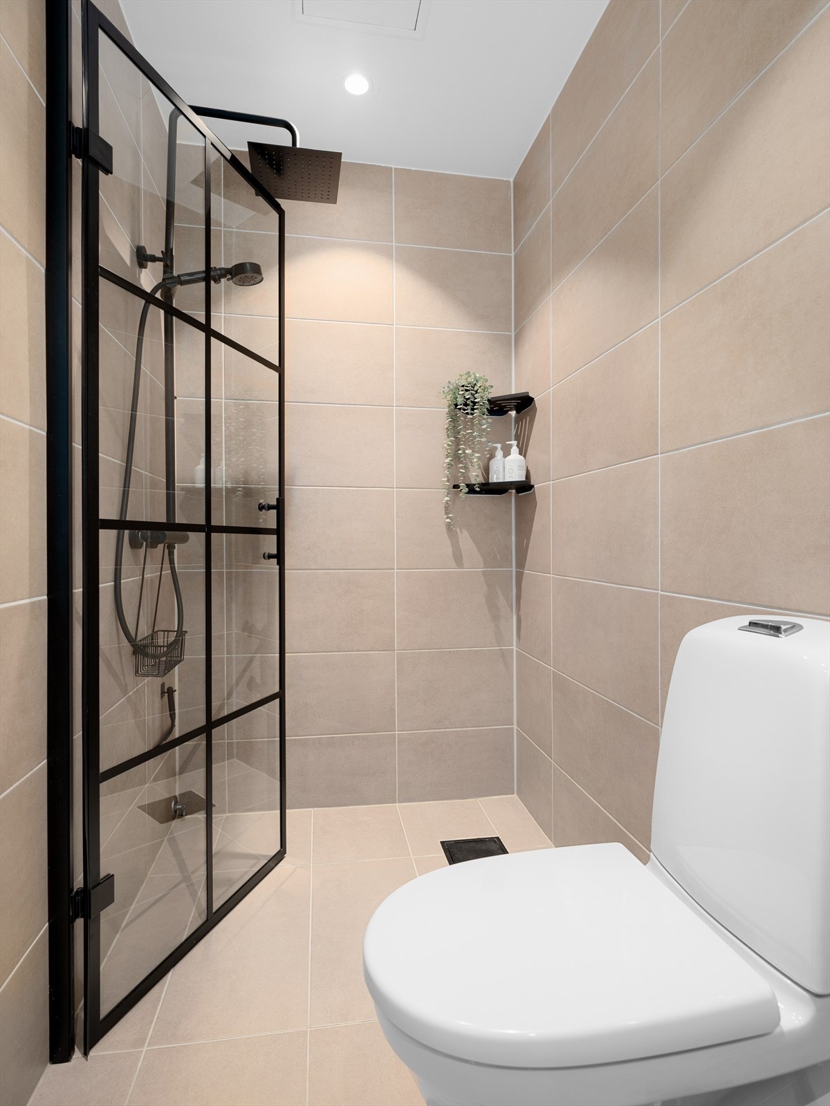 Dusjsone med regnfalldusj. Galleribilde