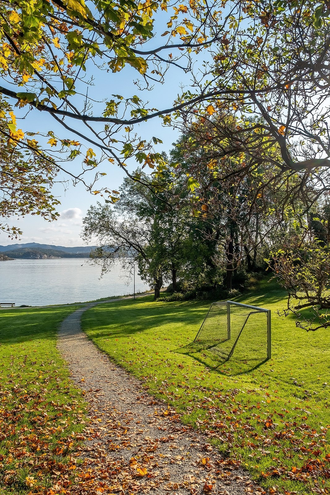 Nærområde. Galleribilde