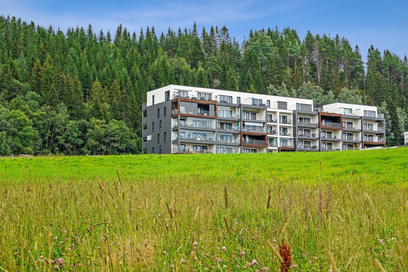 Velkommen til visning! Galleribilde