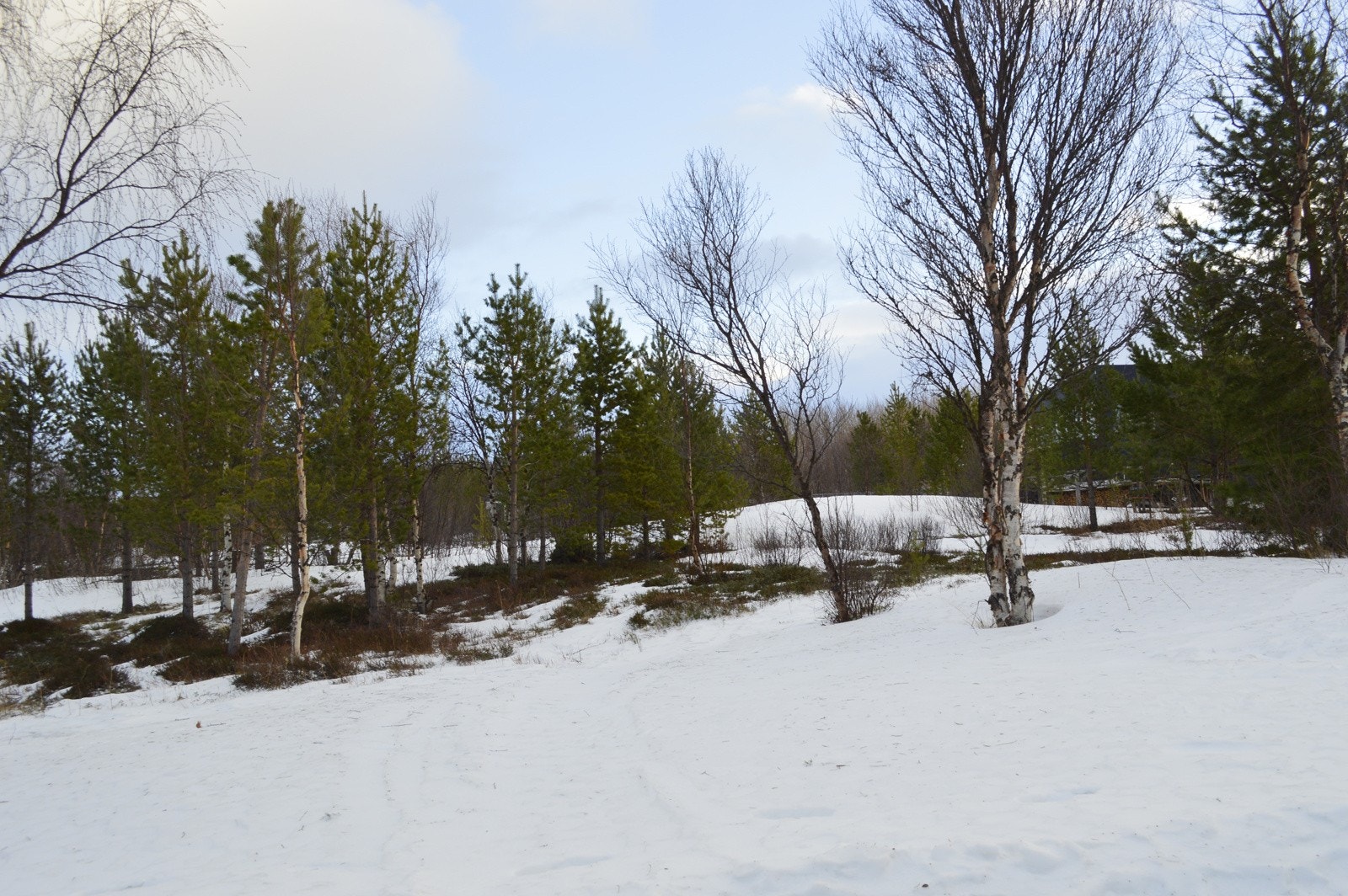 Tomt fra vei Galleribilde