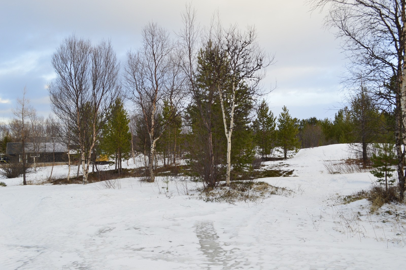 Mot nabo vest Galleribilde