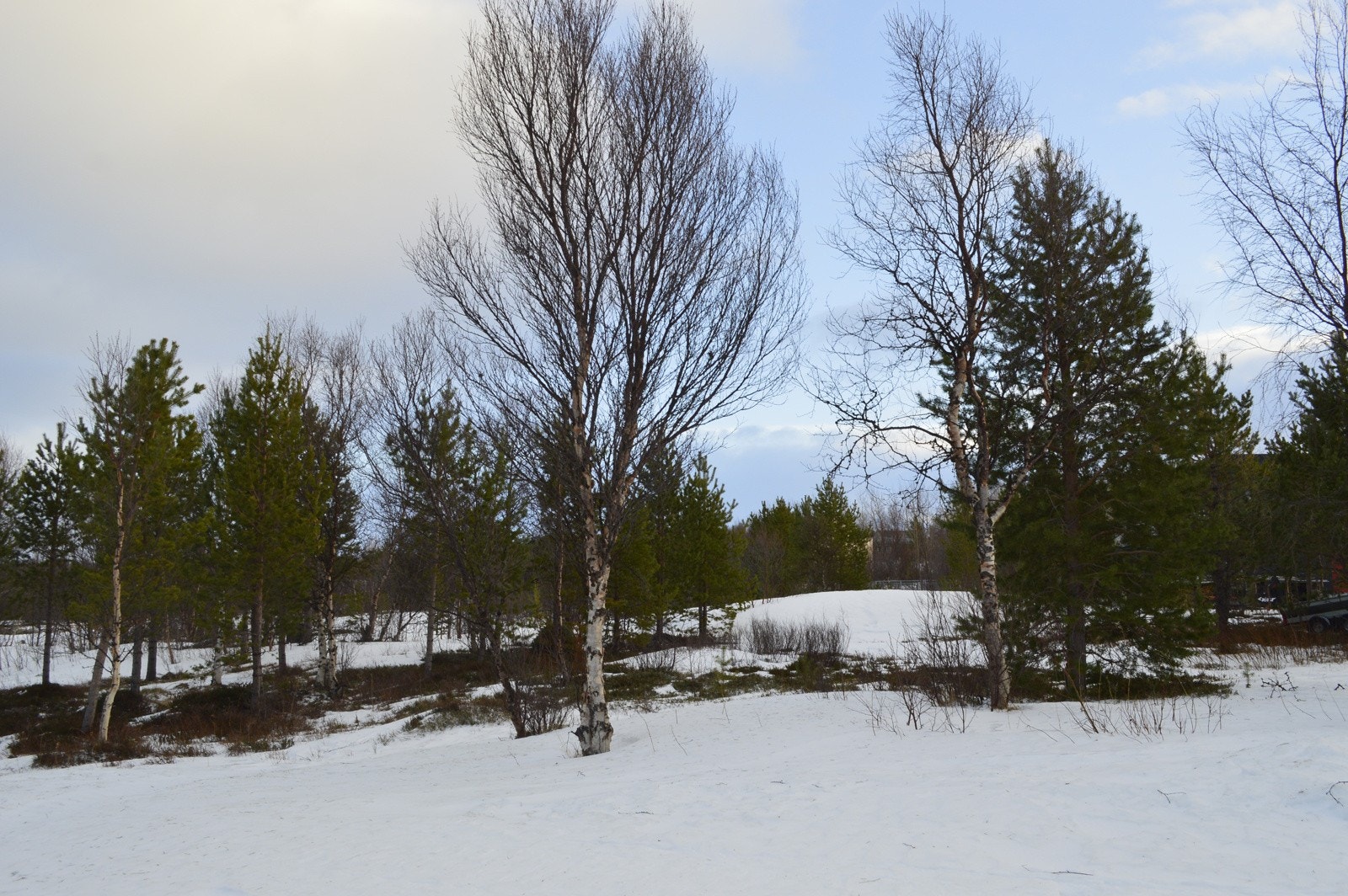 Rett mot tomt fra vei Galleribilde