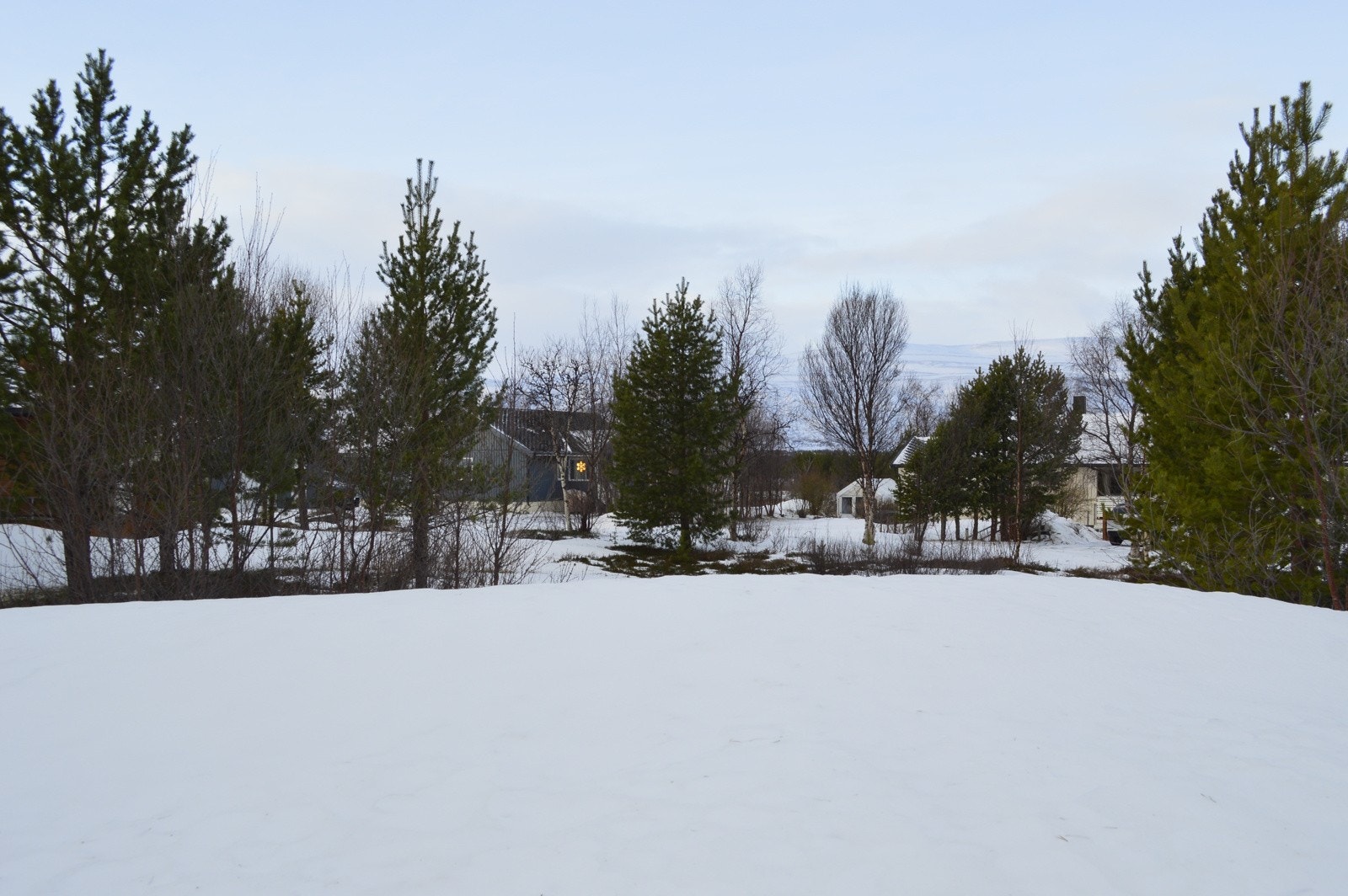 Tomt mot felles vei Galleribilde