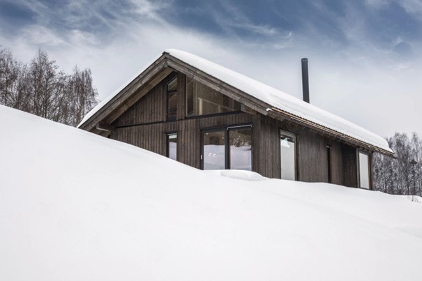 Hedvig i vinterprakt Galleribilde