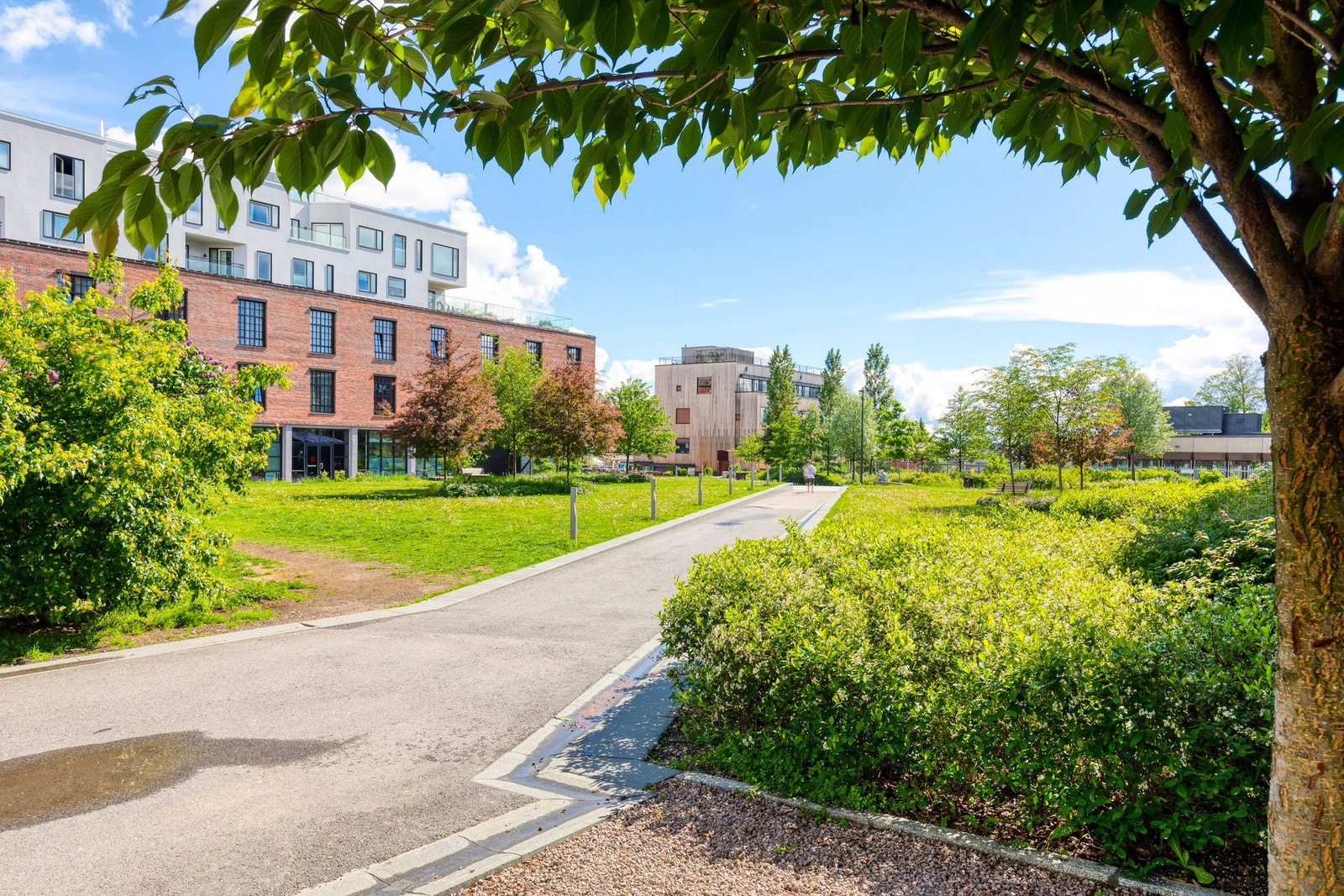 Krydderhagen park er bare en liten gåtur fra boligen, i tillegg er Lørenparken i kort gangavstand. Galleribilde