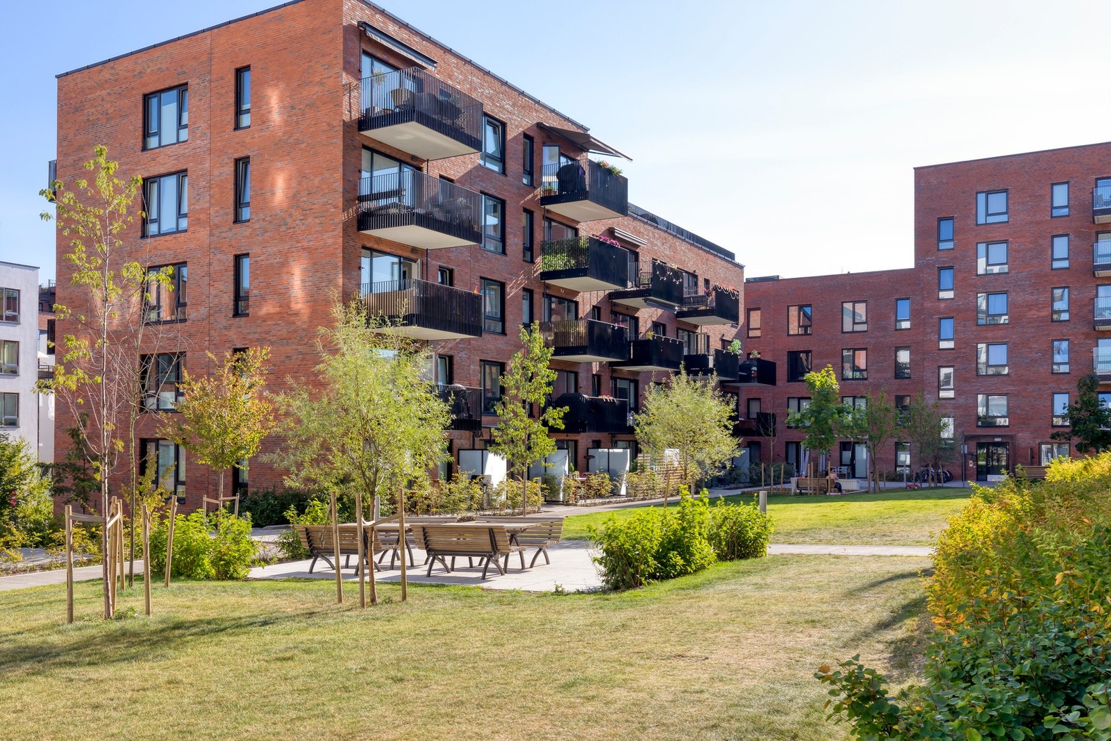 Krydderhagen er kjent for sine pene fellesområder mellom bebyggelsen og fikk pallplass i Oslo bys arkitekturpris for 2020. Galleribilde