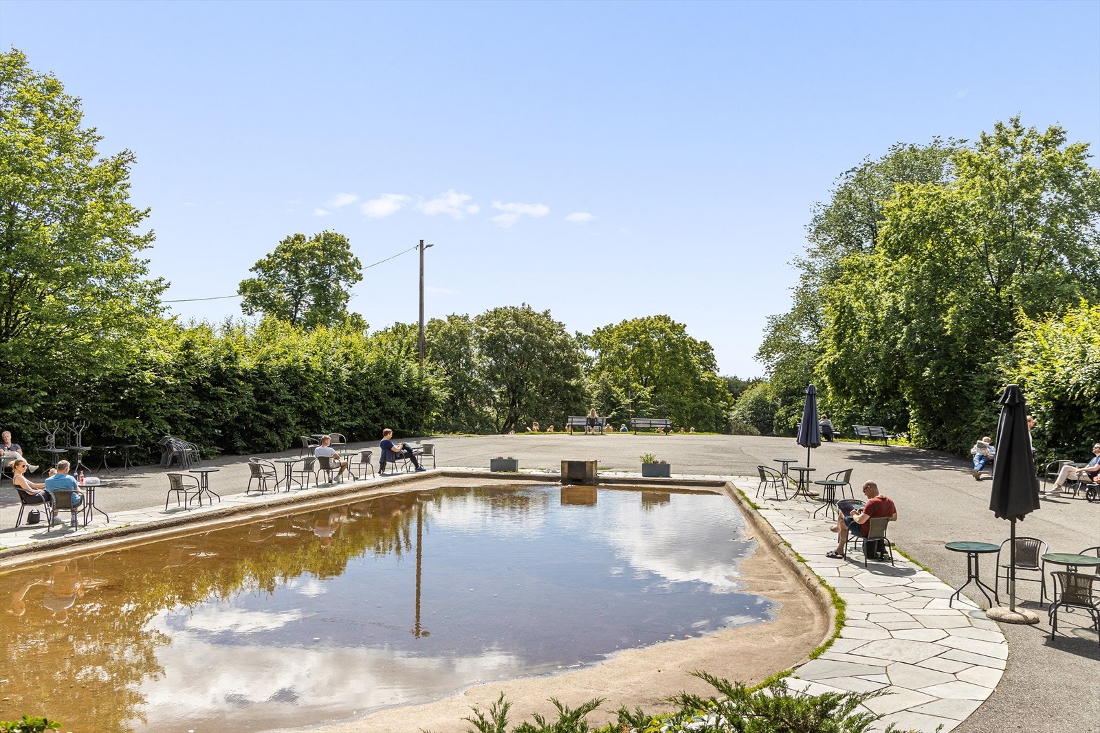Nærområdet. Galleribilde