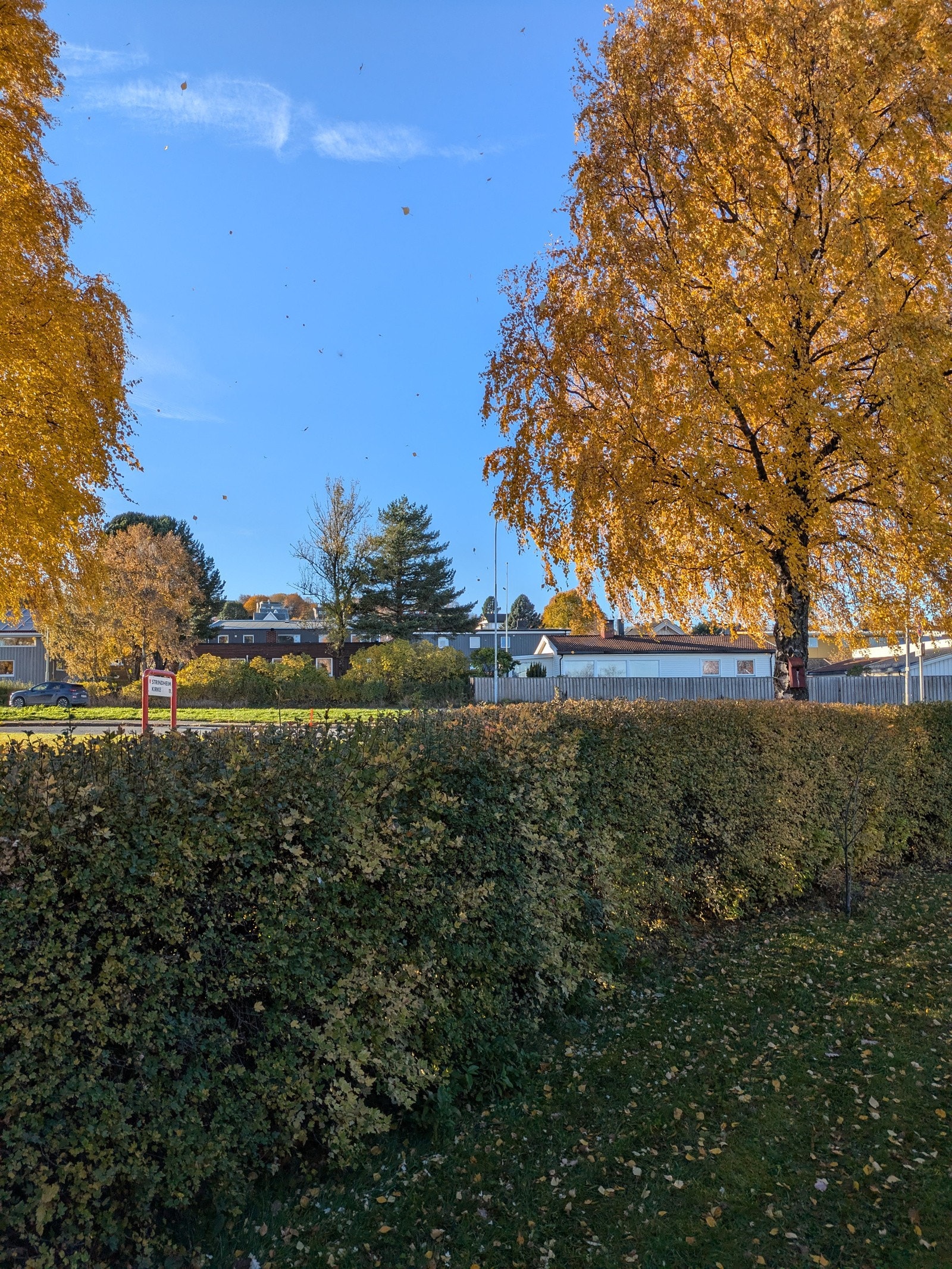 Høststemning på terrassen. Galleribilde