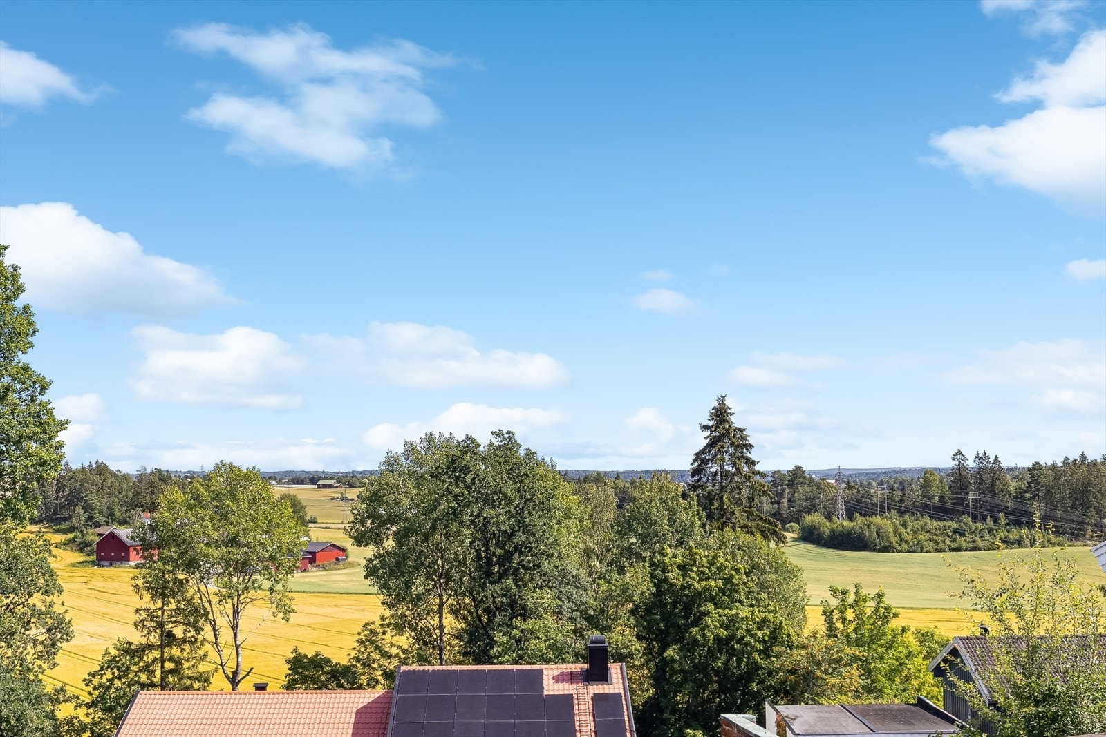 Fin utsikt. Galleribilde