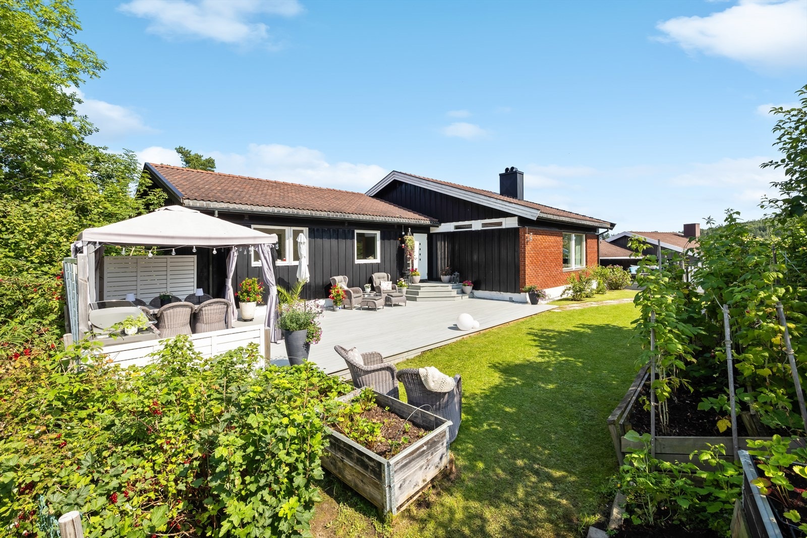 Sommerstemning! Galleribilde