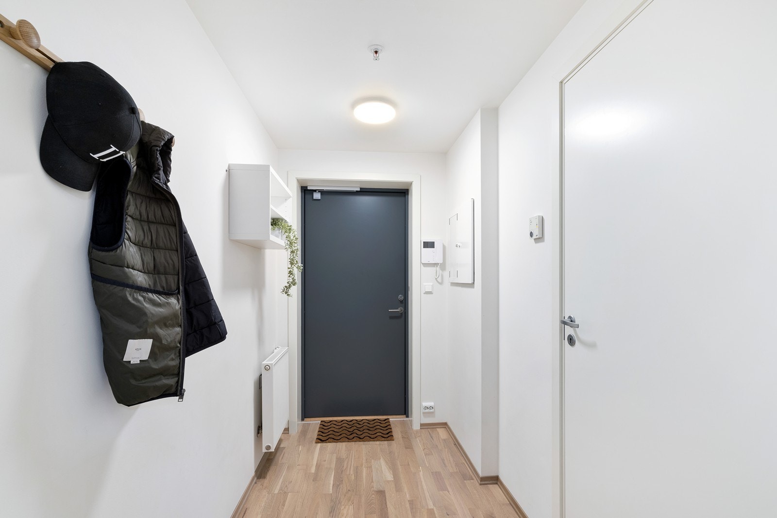 Gang/entré med dør-calling Galleribilde