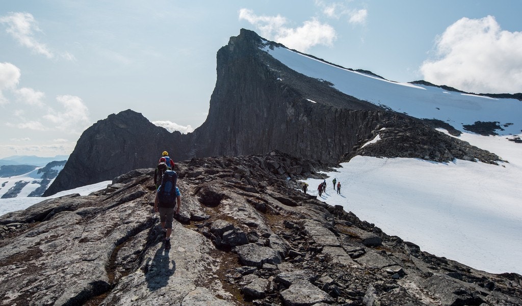 Falketind Galleribilde