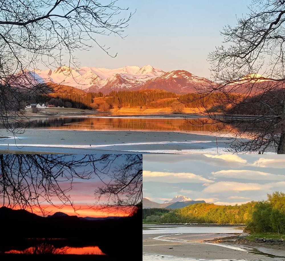 Stranda ligger bare ett steinkast unna. Galleribilde