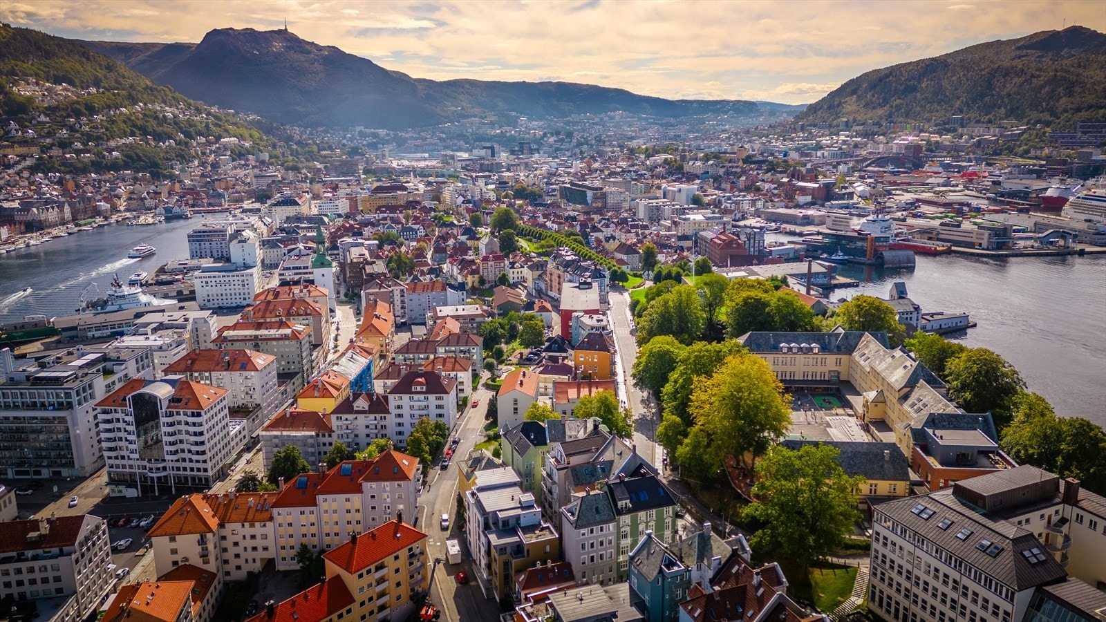 Nærområde Galleribilde