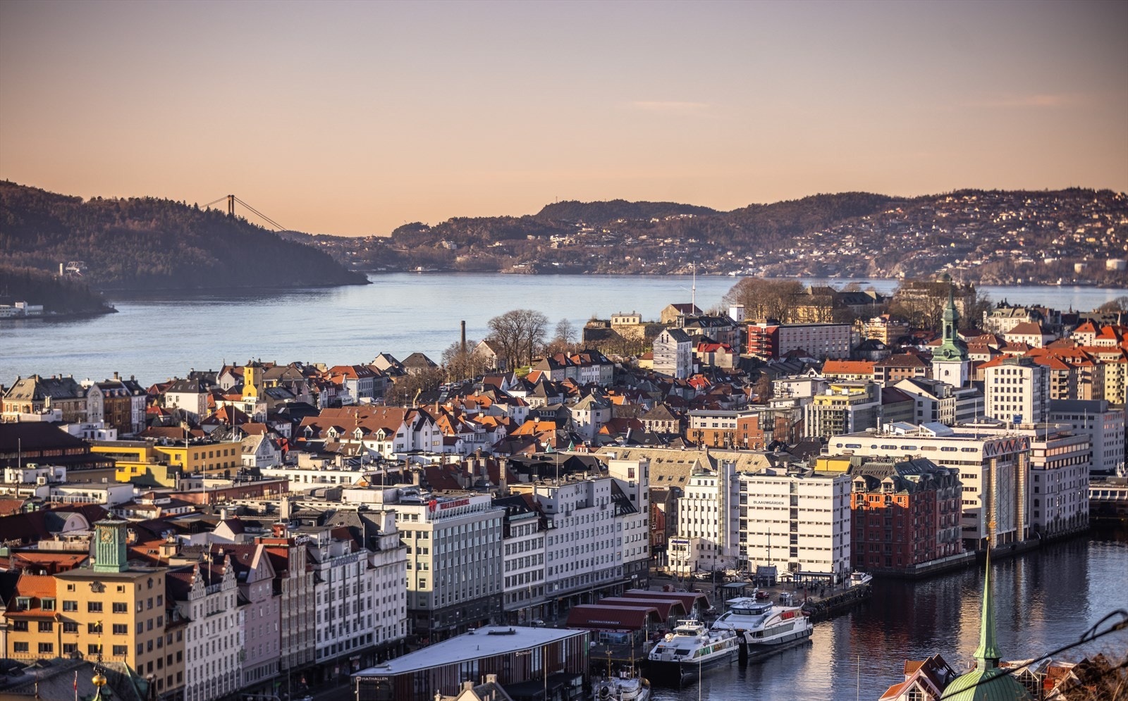 Velkommen til ditt nye nabolag. Galleribilde