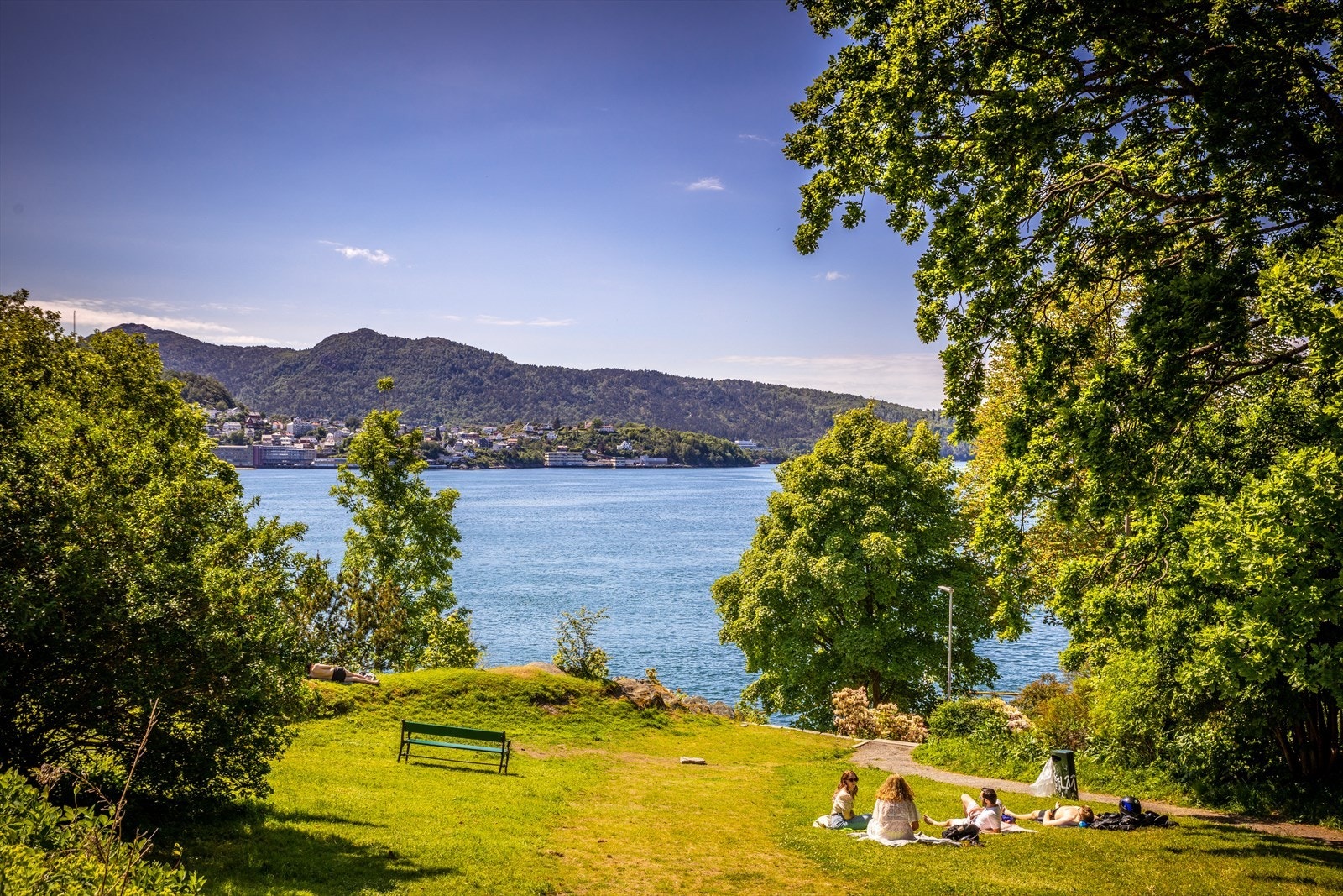 Nordnesparken Galleribilde