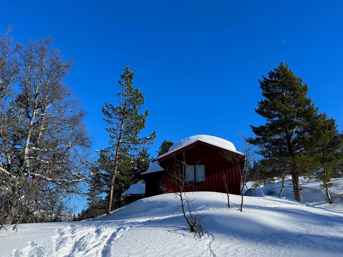 Vinterstemning Galleribilde