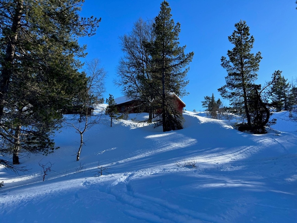 Usjenert Galleribilde