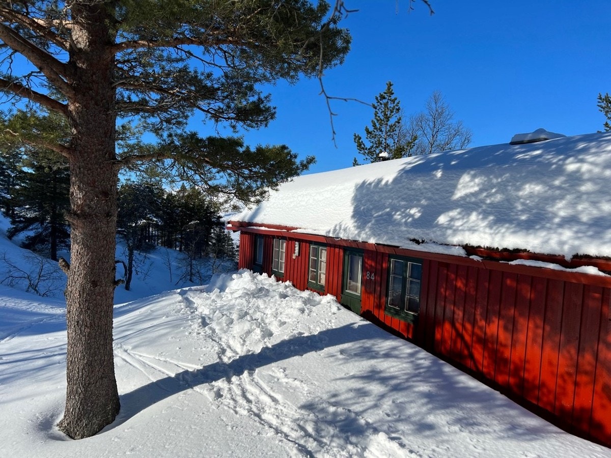 Vinterstemning - Galleribilde