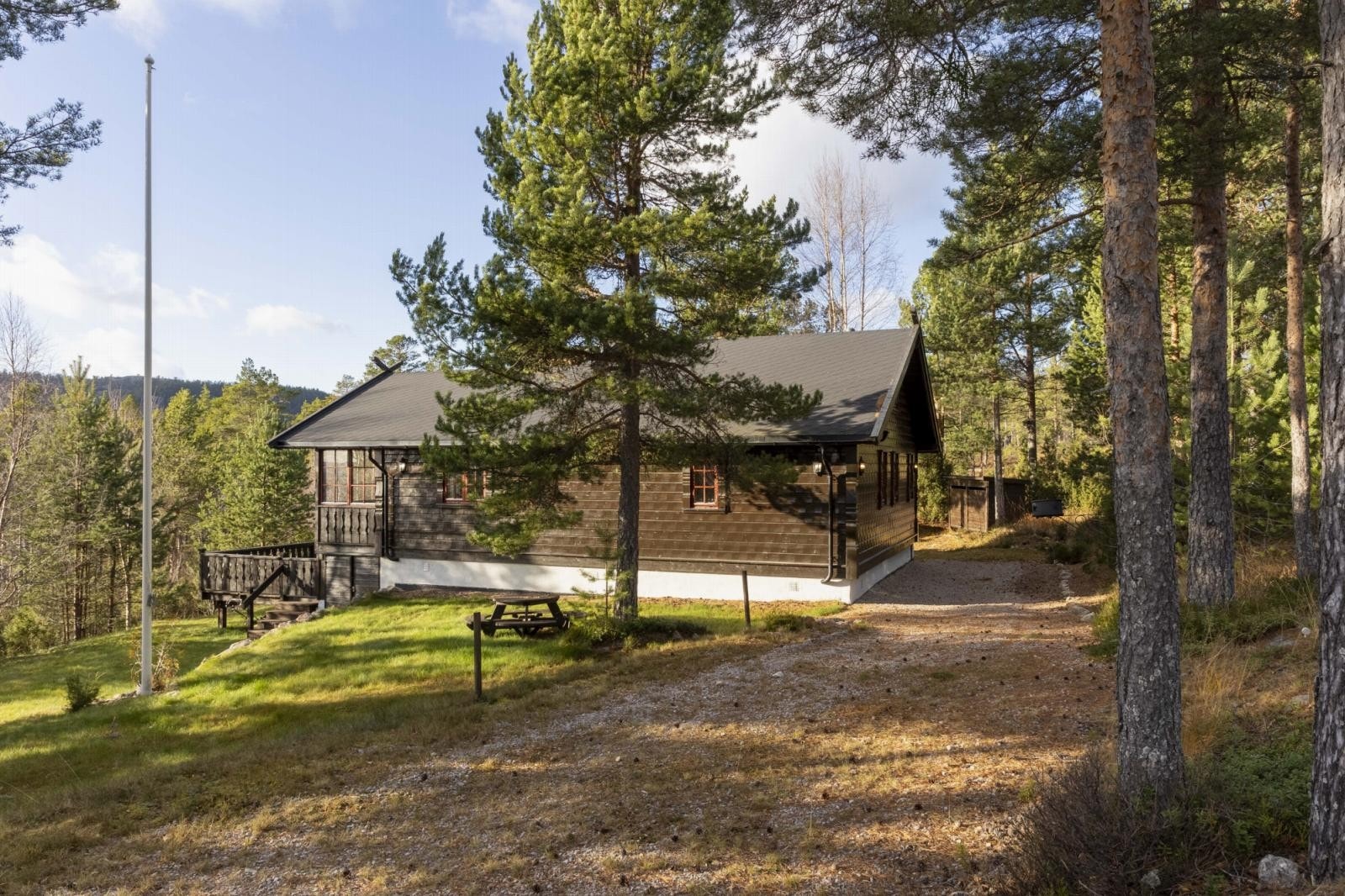 Bilvei inn Galleribilde