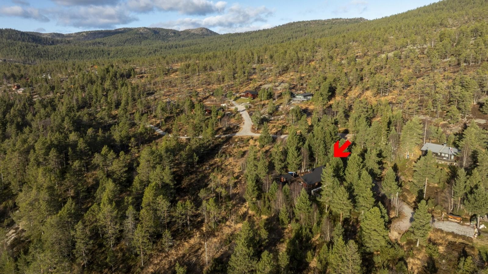 Område Galleribilde