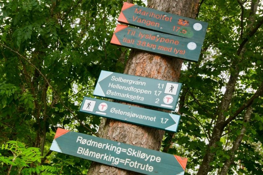 Mange og fine turmuligheter i Østmarka. Galleribilde
