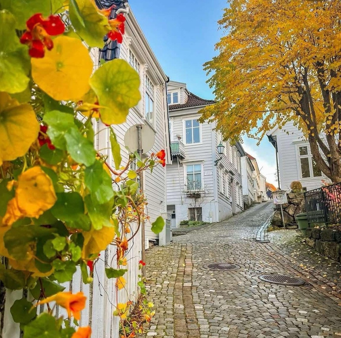 - Selgers bilde. En tursti du aldri blir lei av - Galleribilde