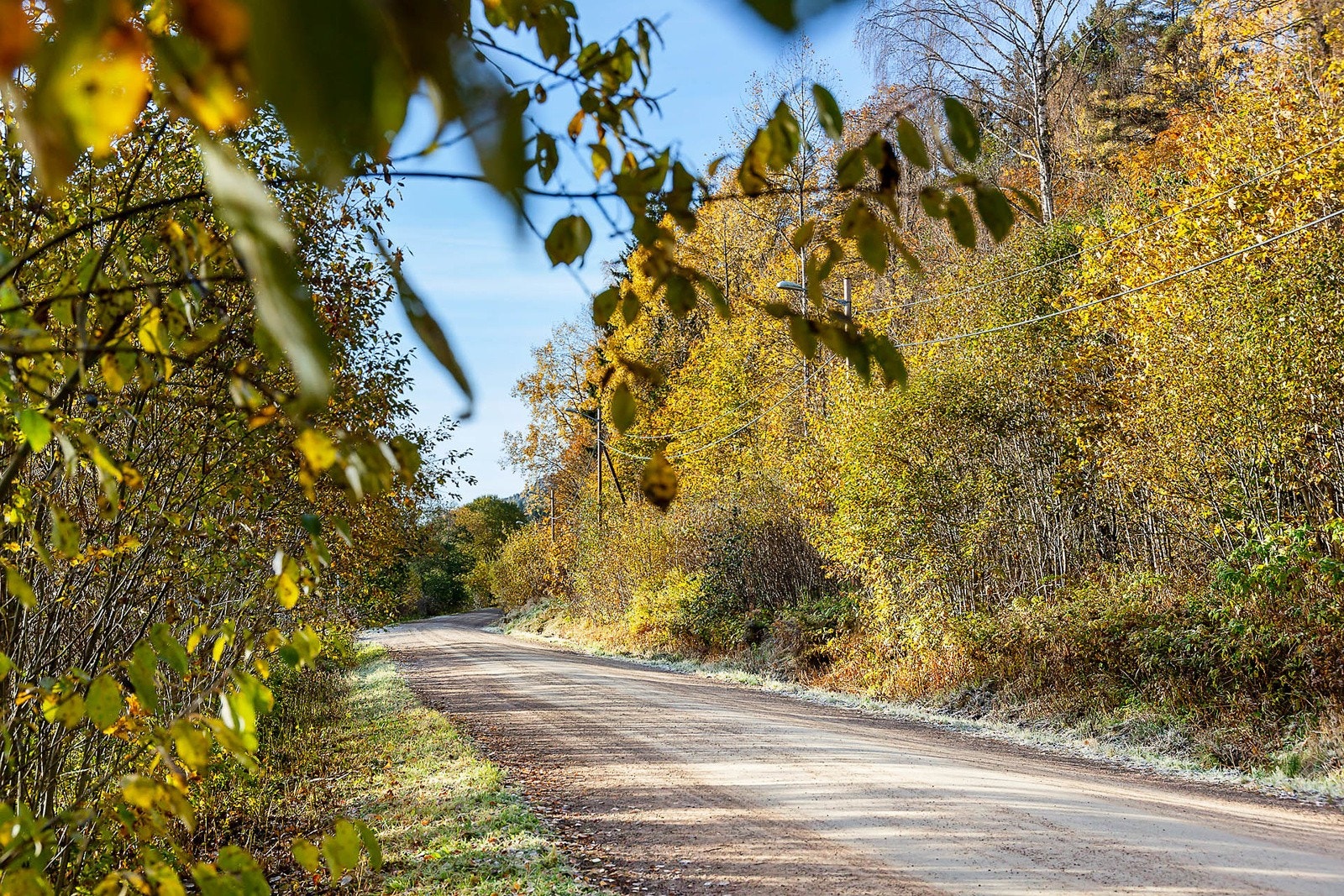 Kort vei til marka med flotte tur- og rekreasjonsmuligheter sommer som vinter. Galleribilde