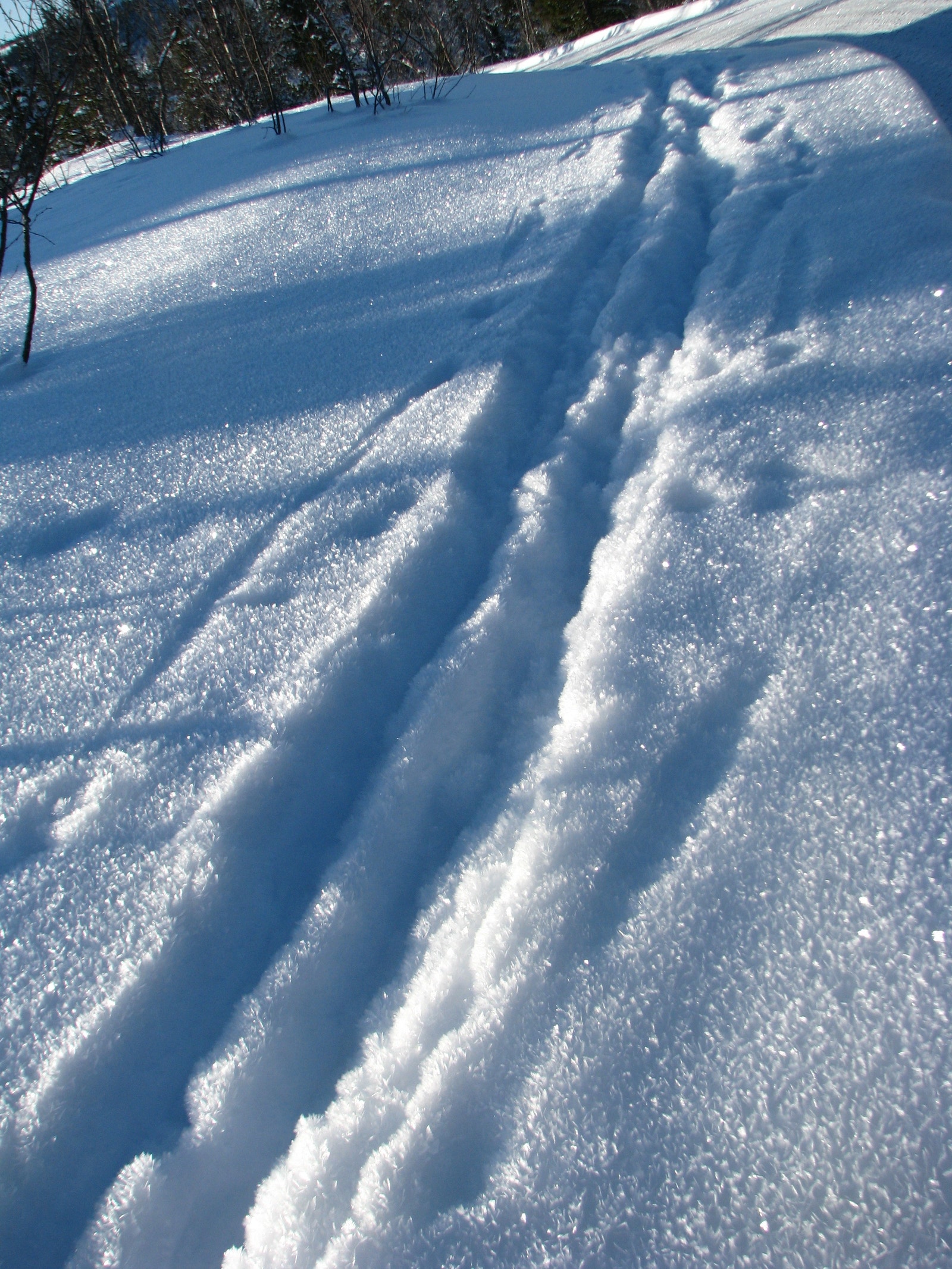 Egne spor i snøkrystaller Galleribilde