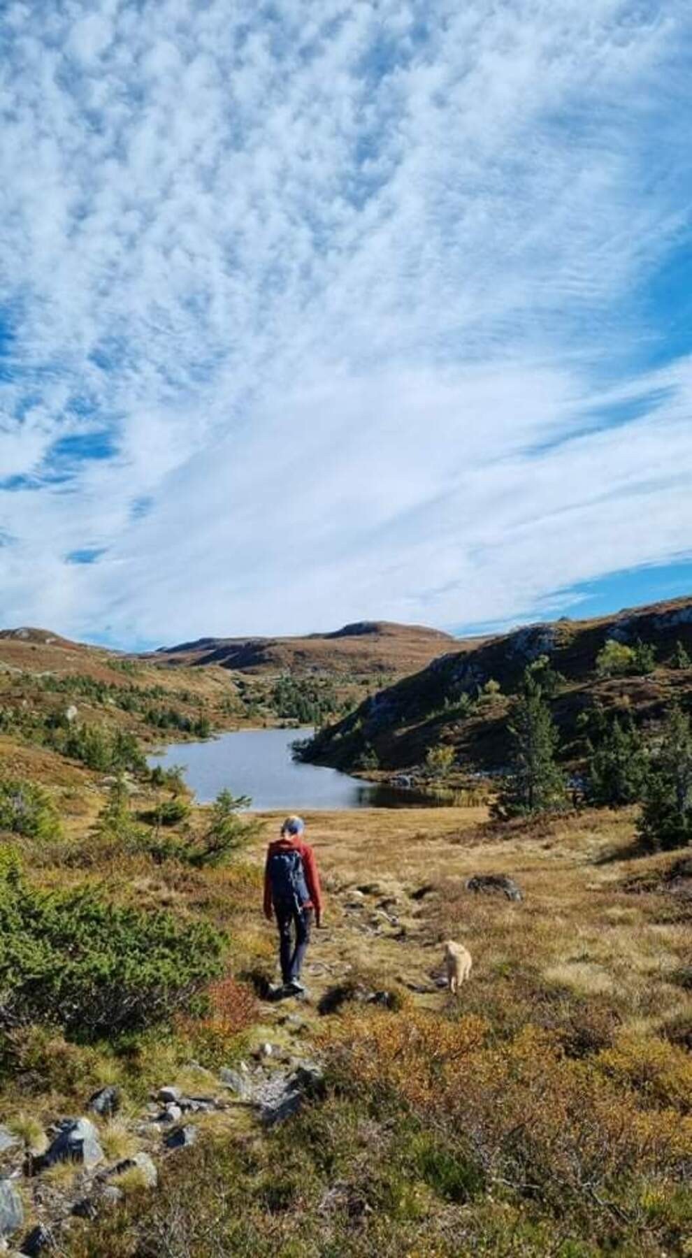 På veg mot Tvitjønnan som er ett fint fiskvann på Grimås Galleribilde