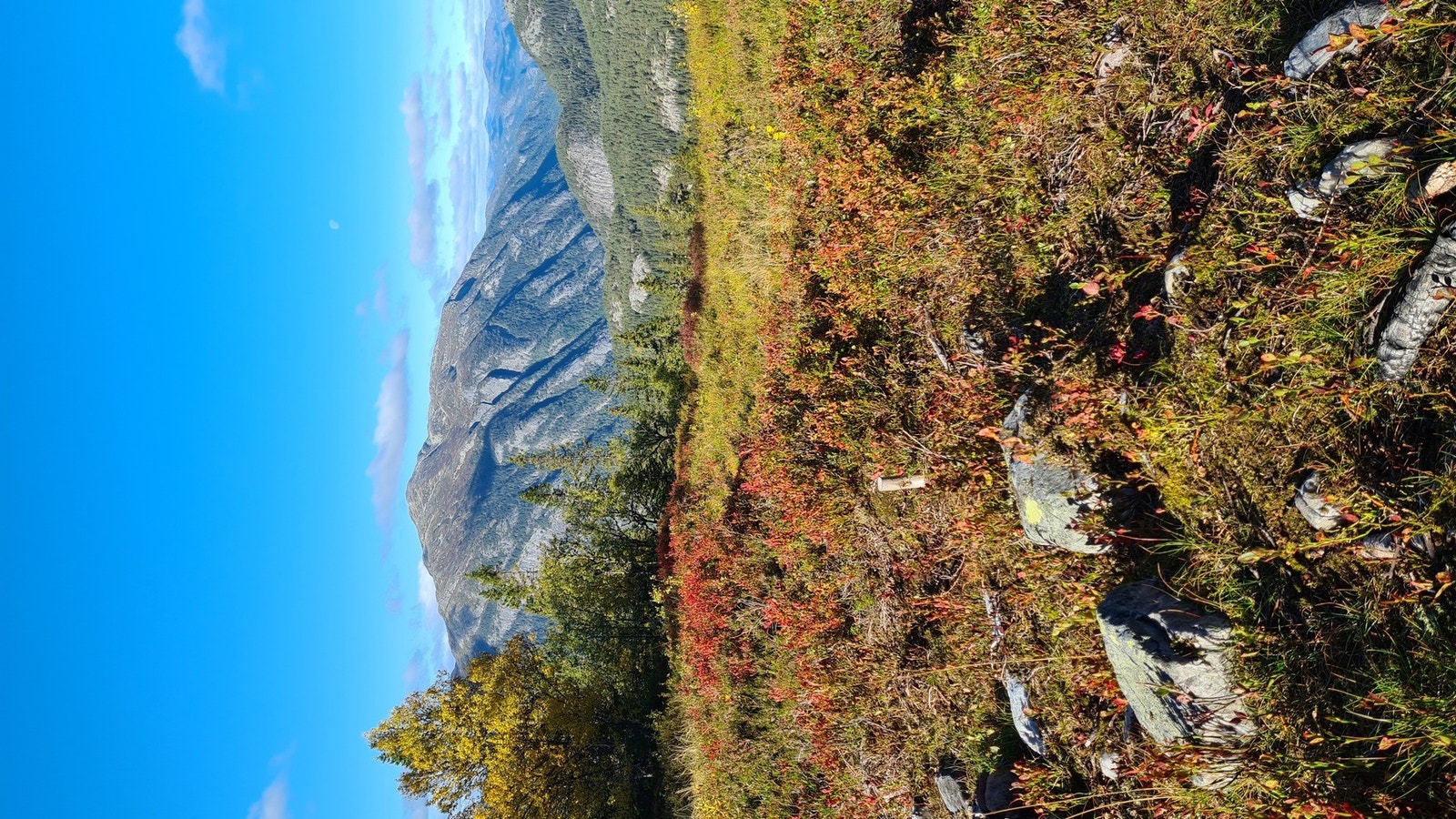 Utsikt mot Skorve fra toppen av "slalombakken" Galleribilde