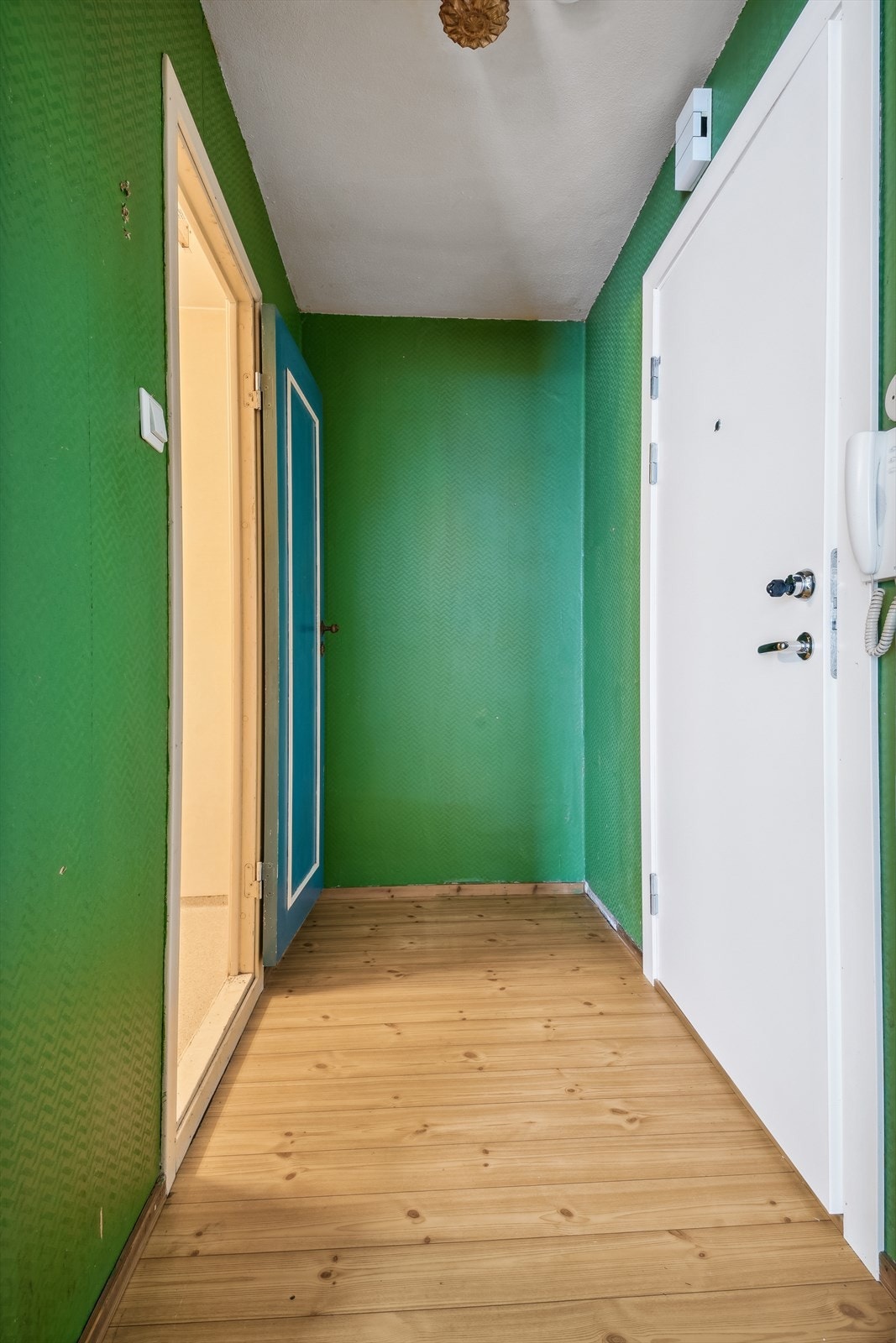 Gang med plass til garderobe, nyere inngangsdør og dørcalling Galleribilde