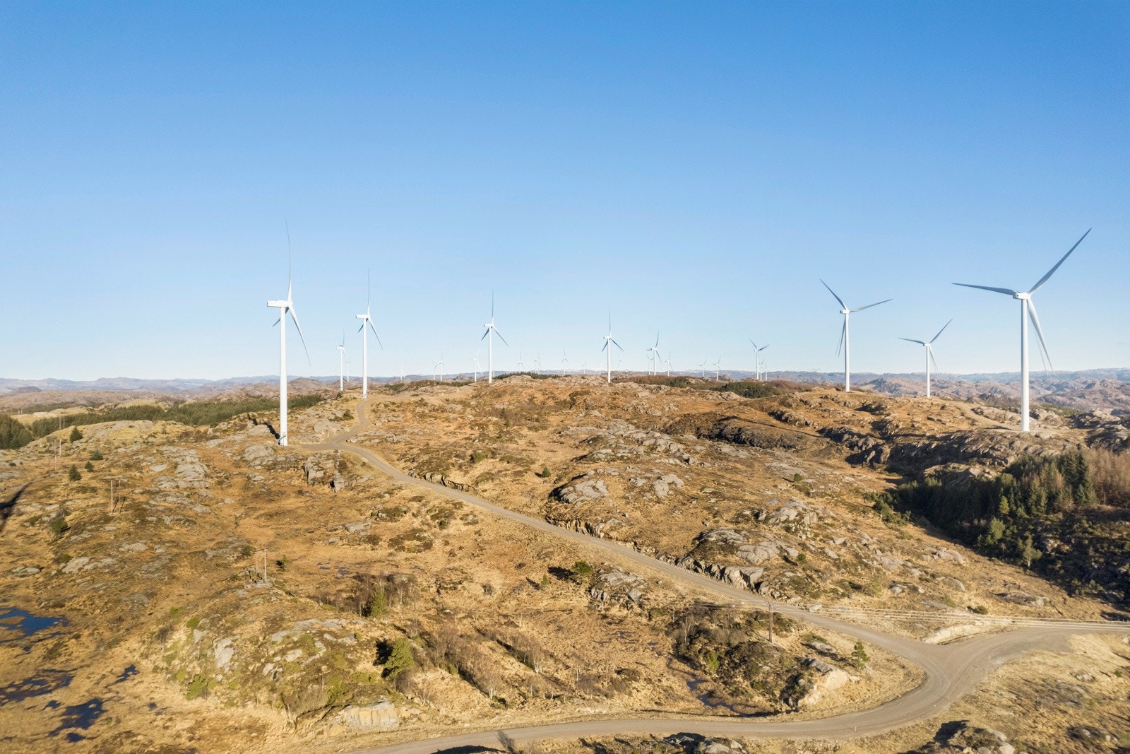 Omradebilde Galleribilde