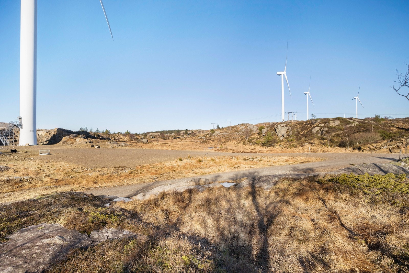 Omradebilde Galleribilde