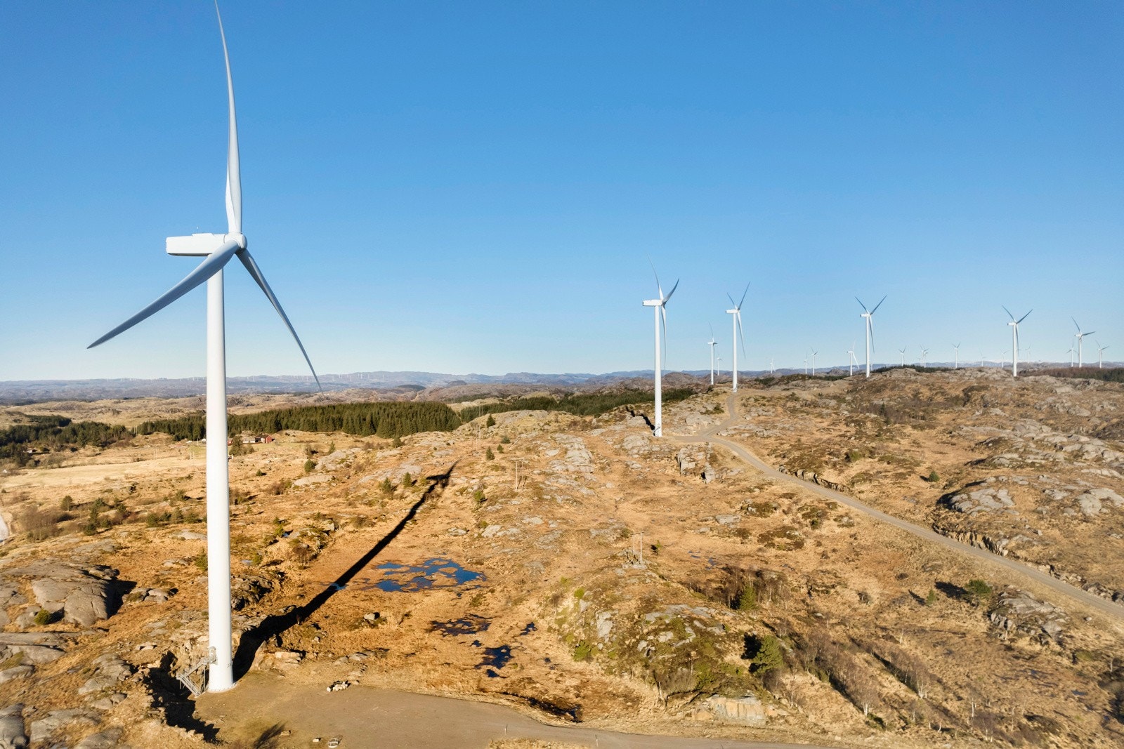 Omradebilde Galleribilde