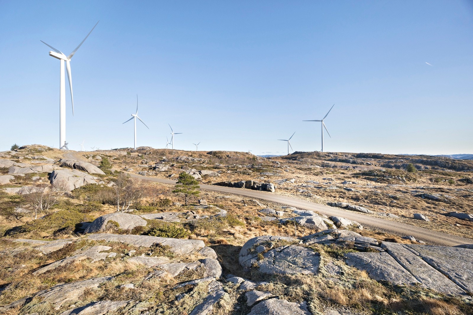 Omradebilde Galleribilde