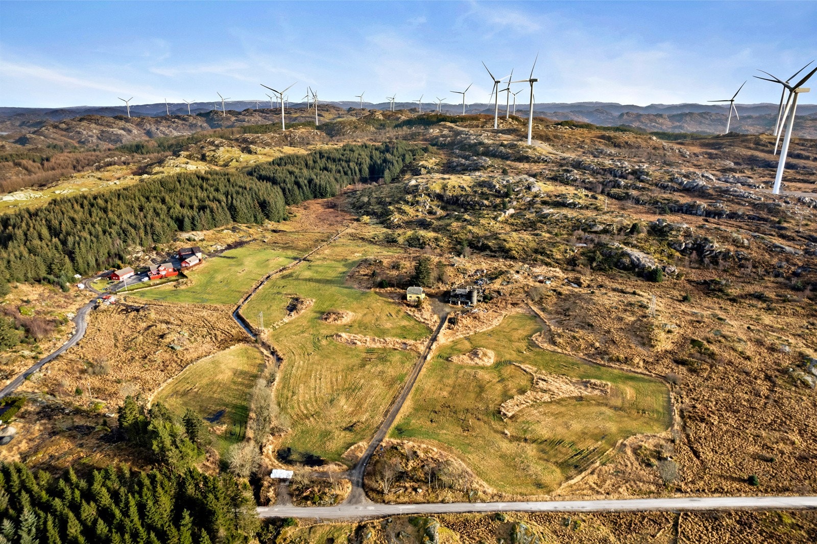 Omradebilde Galleribilde