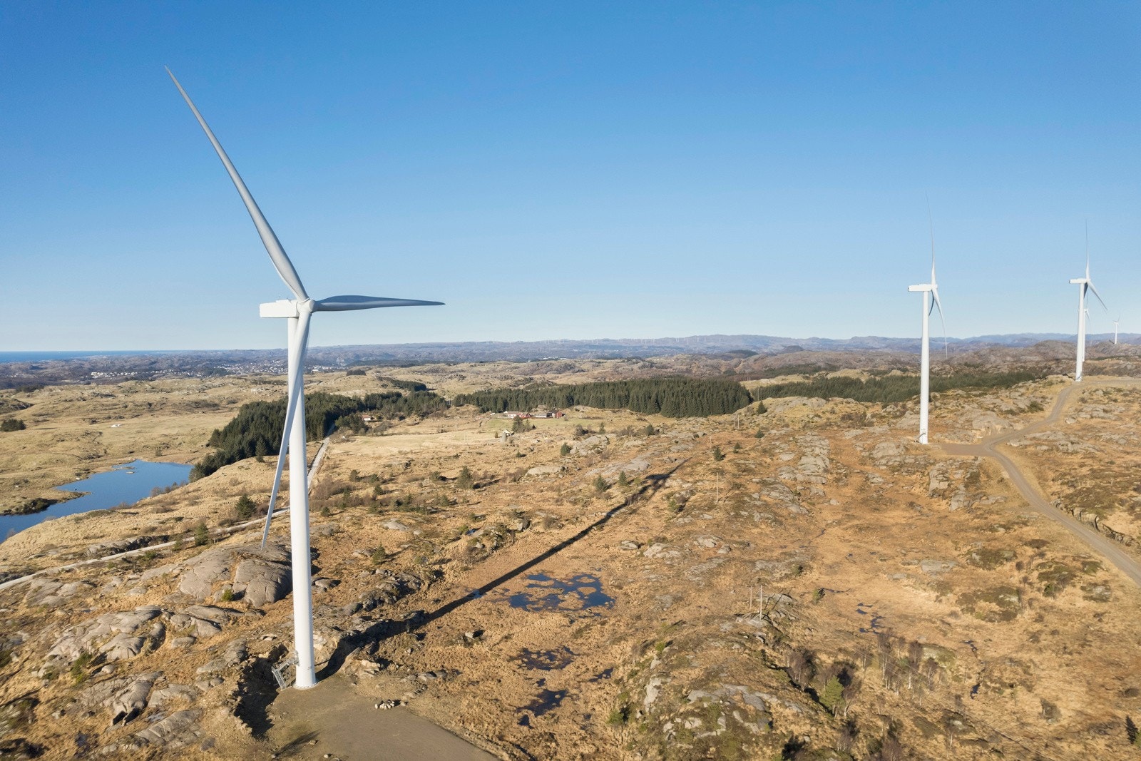 Omradebilde Galleribilde