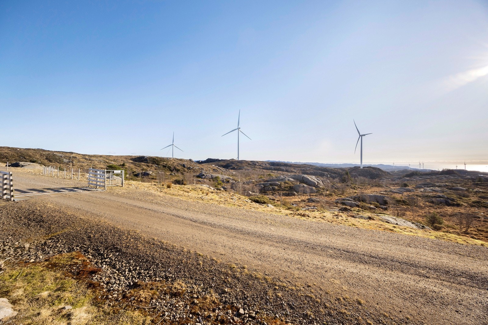 Omradebilde Galleribilde