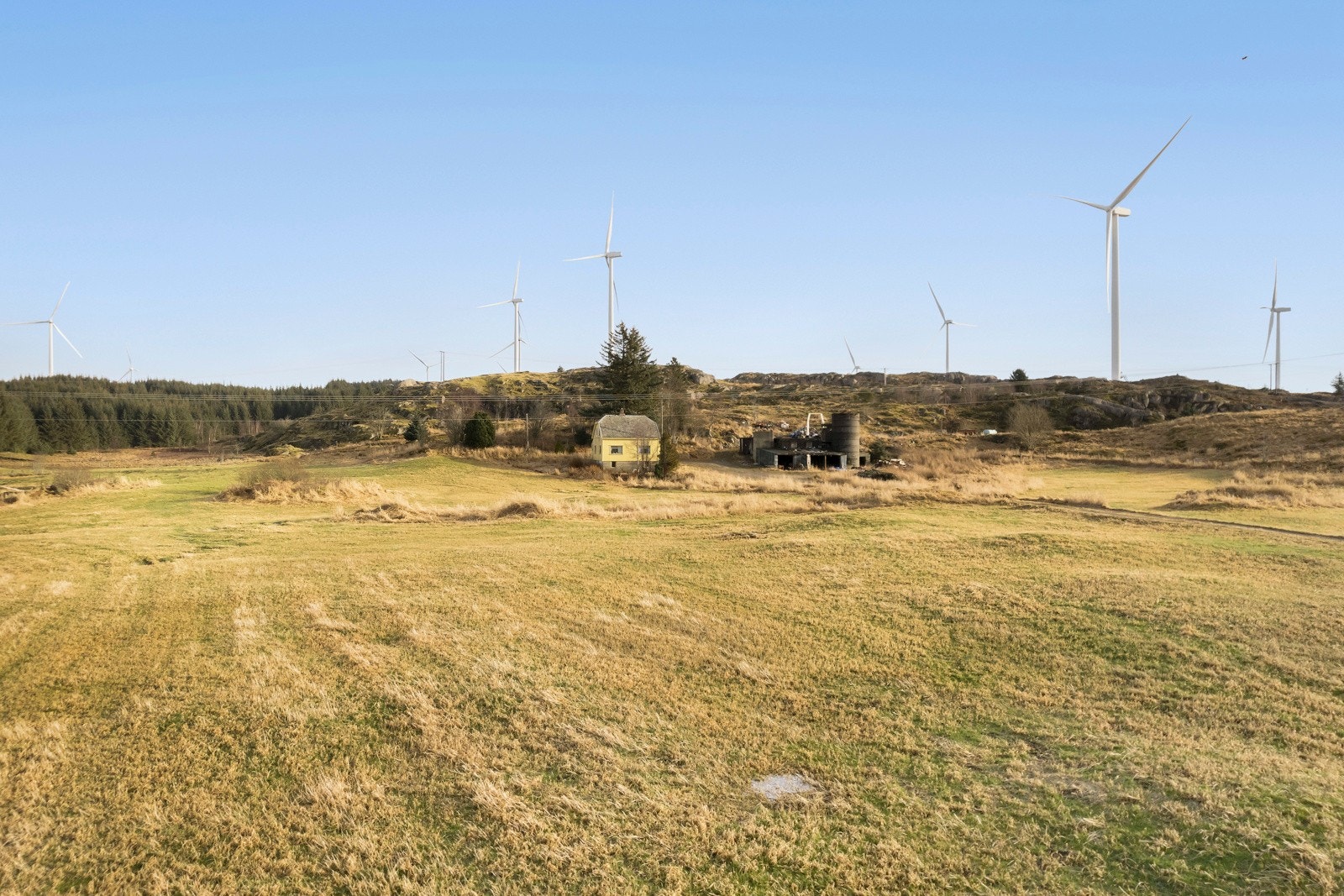 Omradebilde Galleribilde