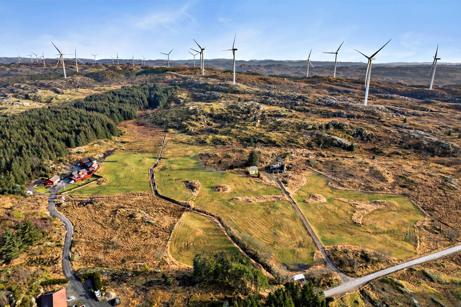 Omradebilde Galleribilde