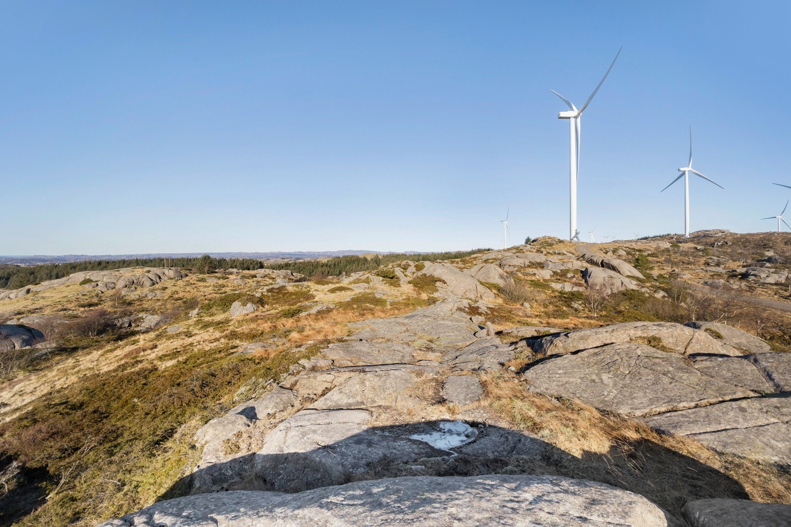 Omradebilde Galleribilde