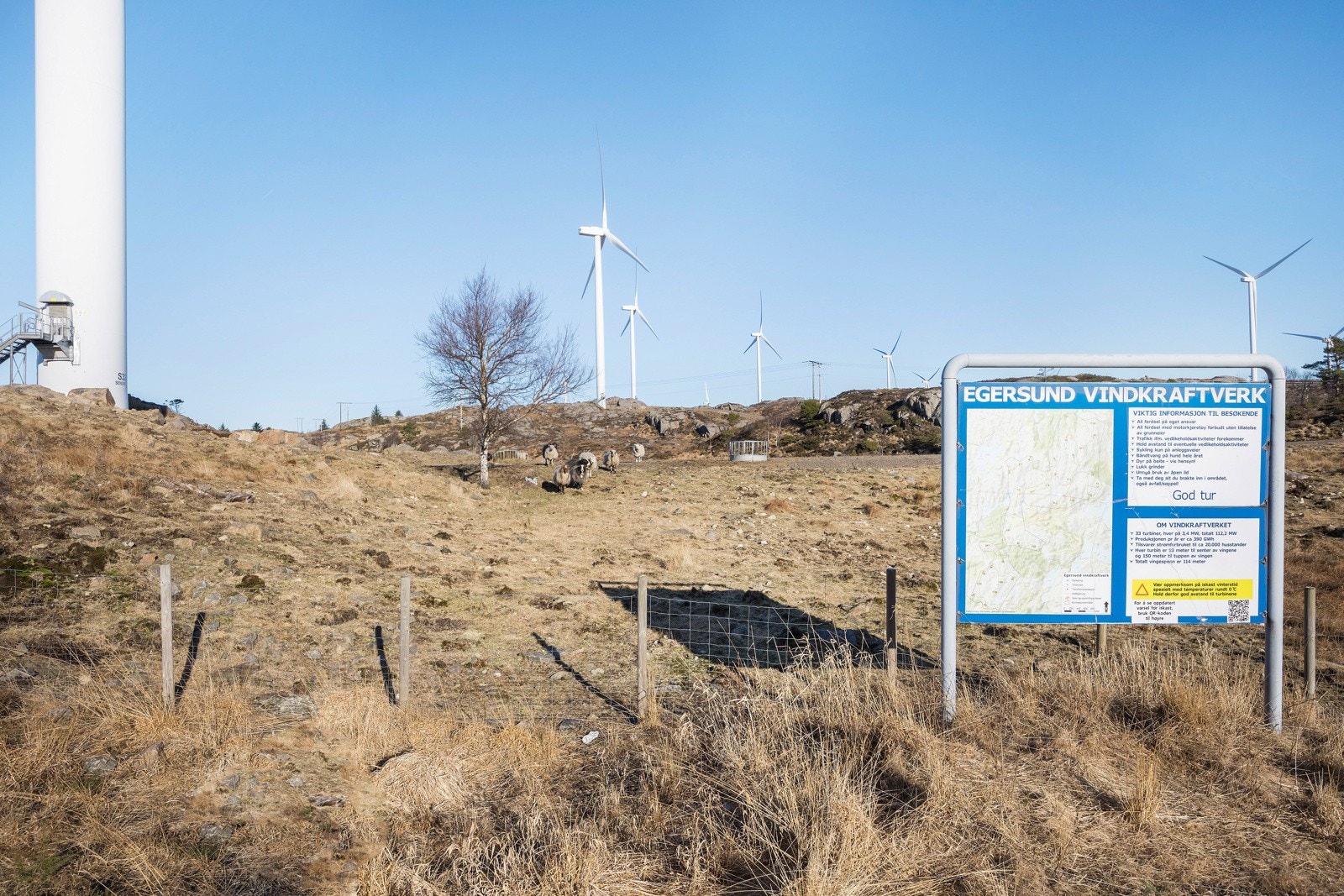 Omradebilde Galleribilde