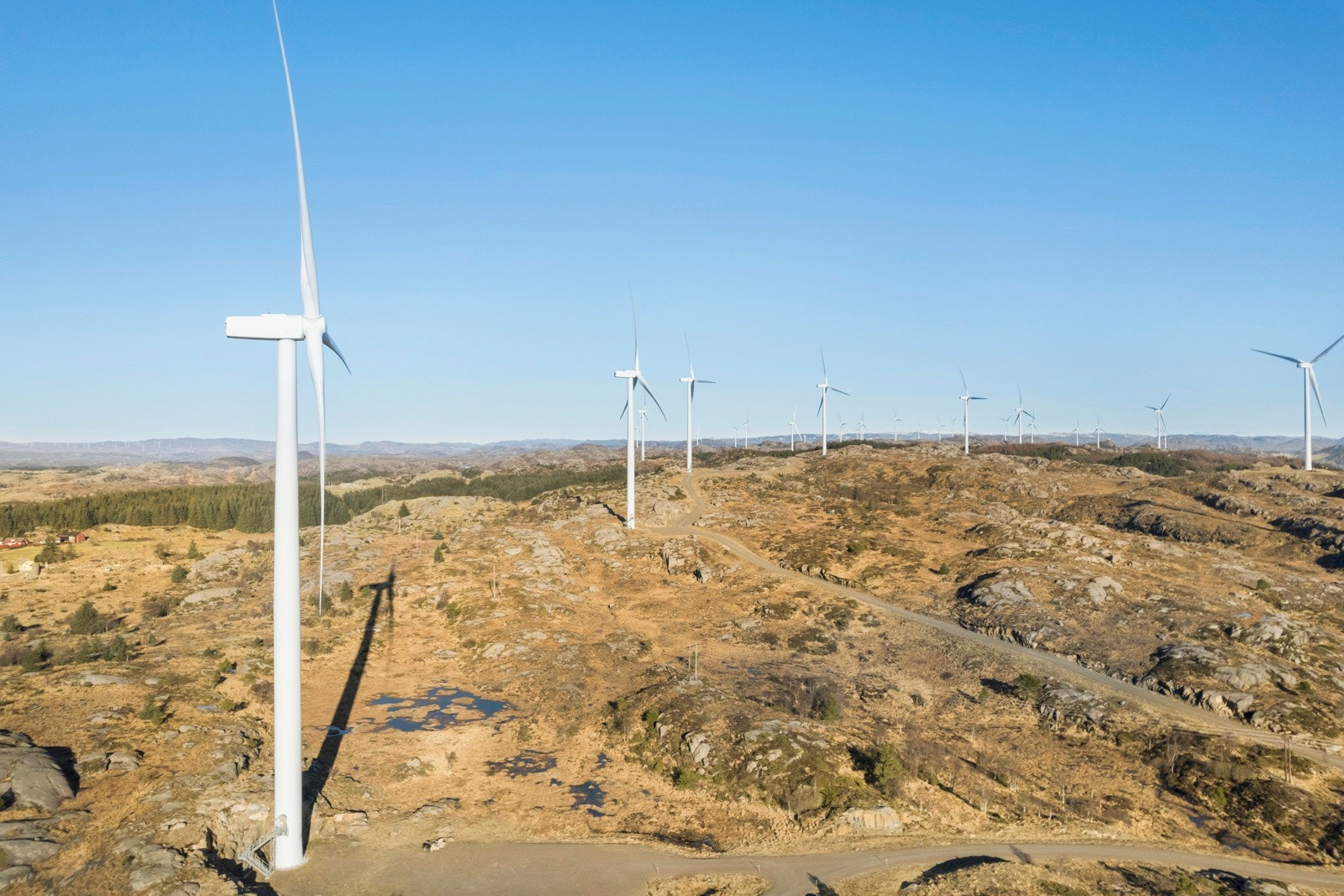 Omradebilde Galleribilde