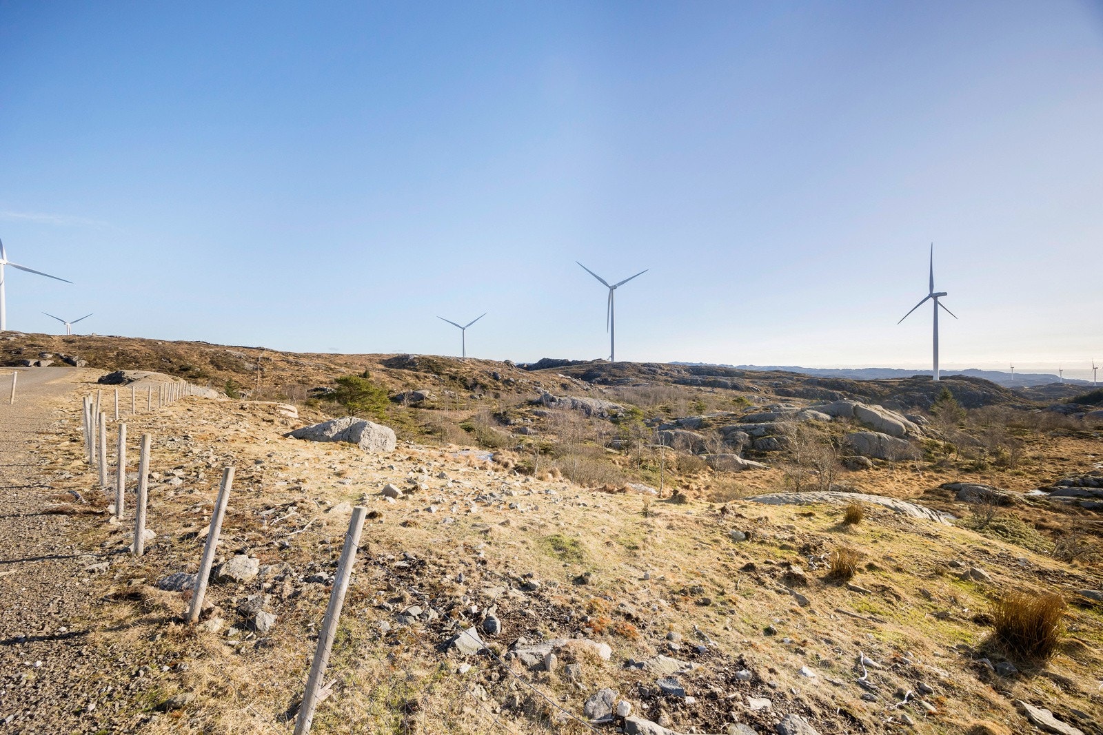 Omradebilde Galleribilde