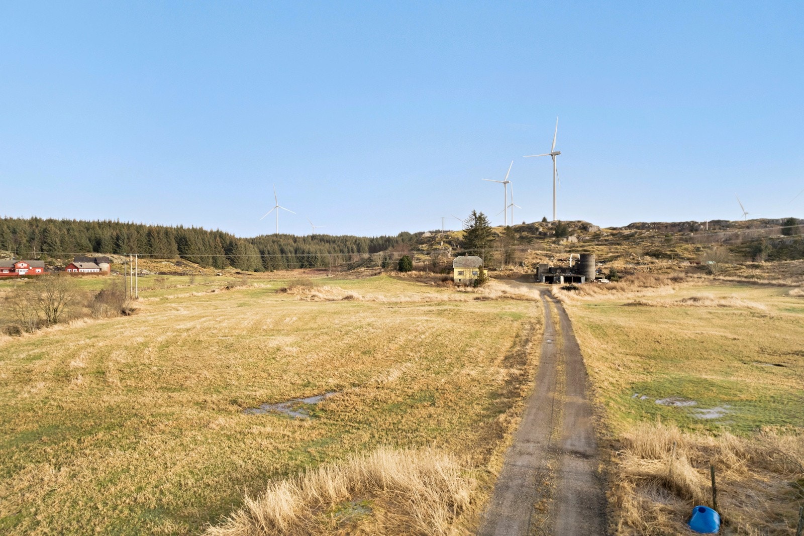 Omradebilde Galleribilde