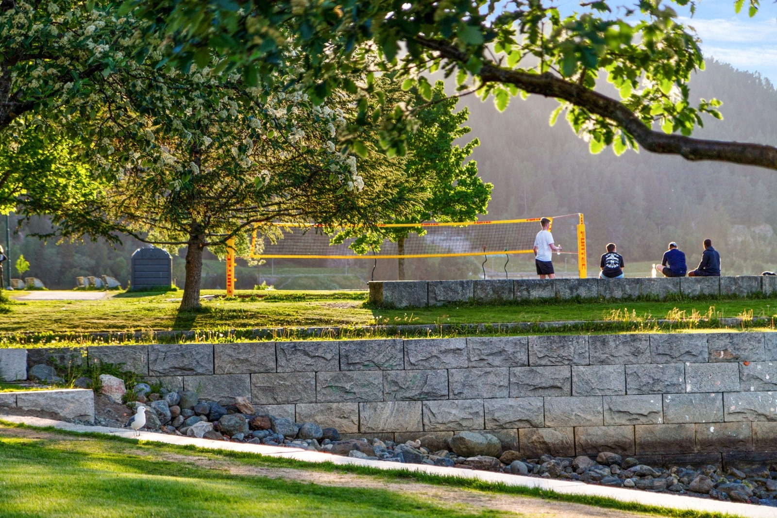 Sandvolleyballbane ligger også langs promenaden. Galleribilde