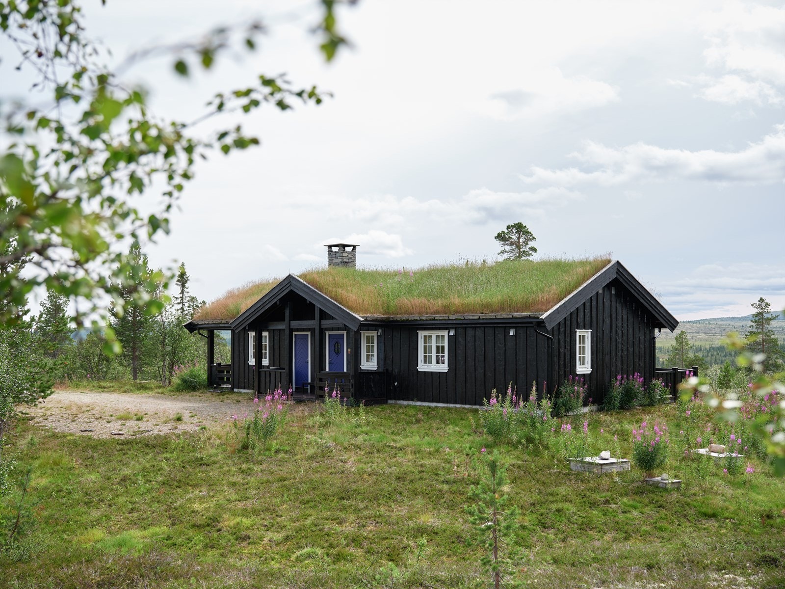 Velkommen til Toppveien 9! Galleribilde