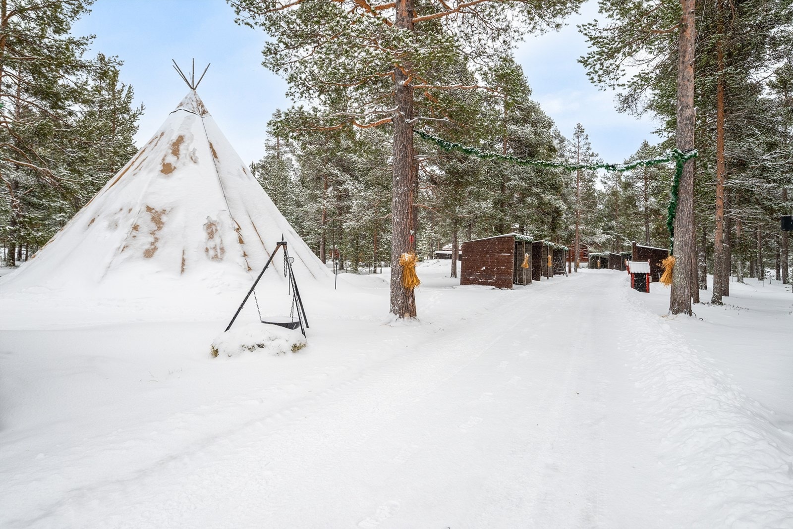 Nærområde. Galleribilde