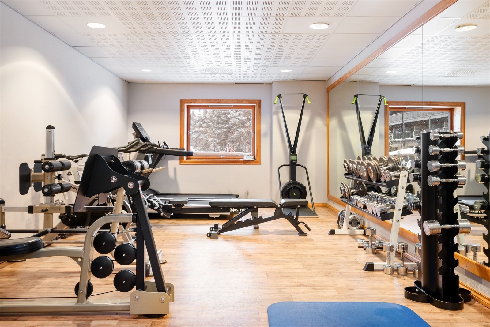 Trimrom. Galleribilde